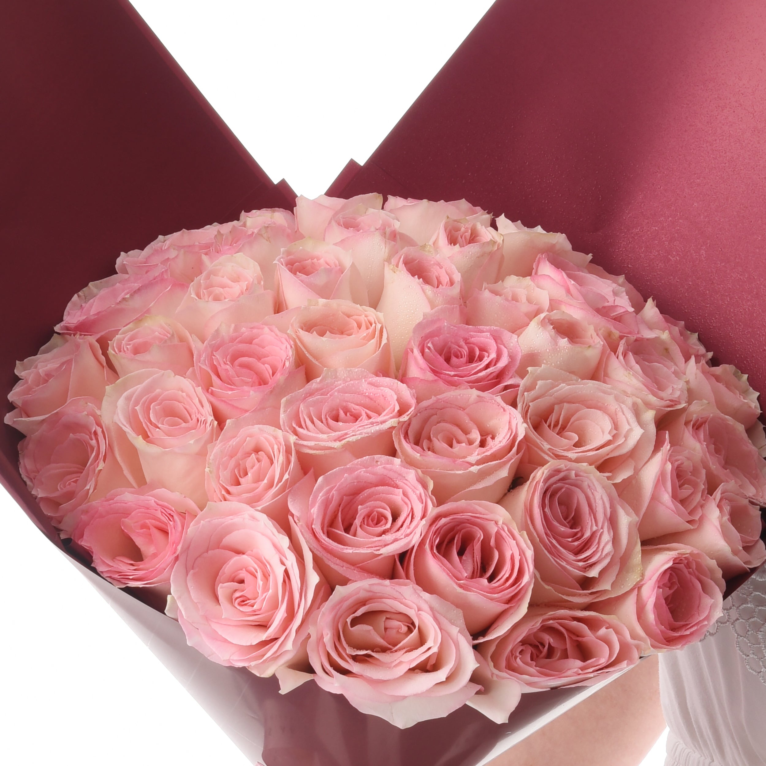 Soft pink roses in deep burgundy box, dew-kissed petals, elegant presentation.