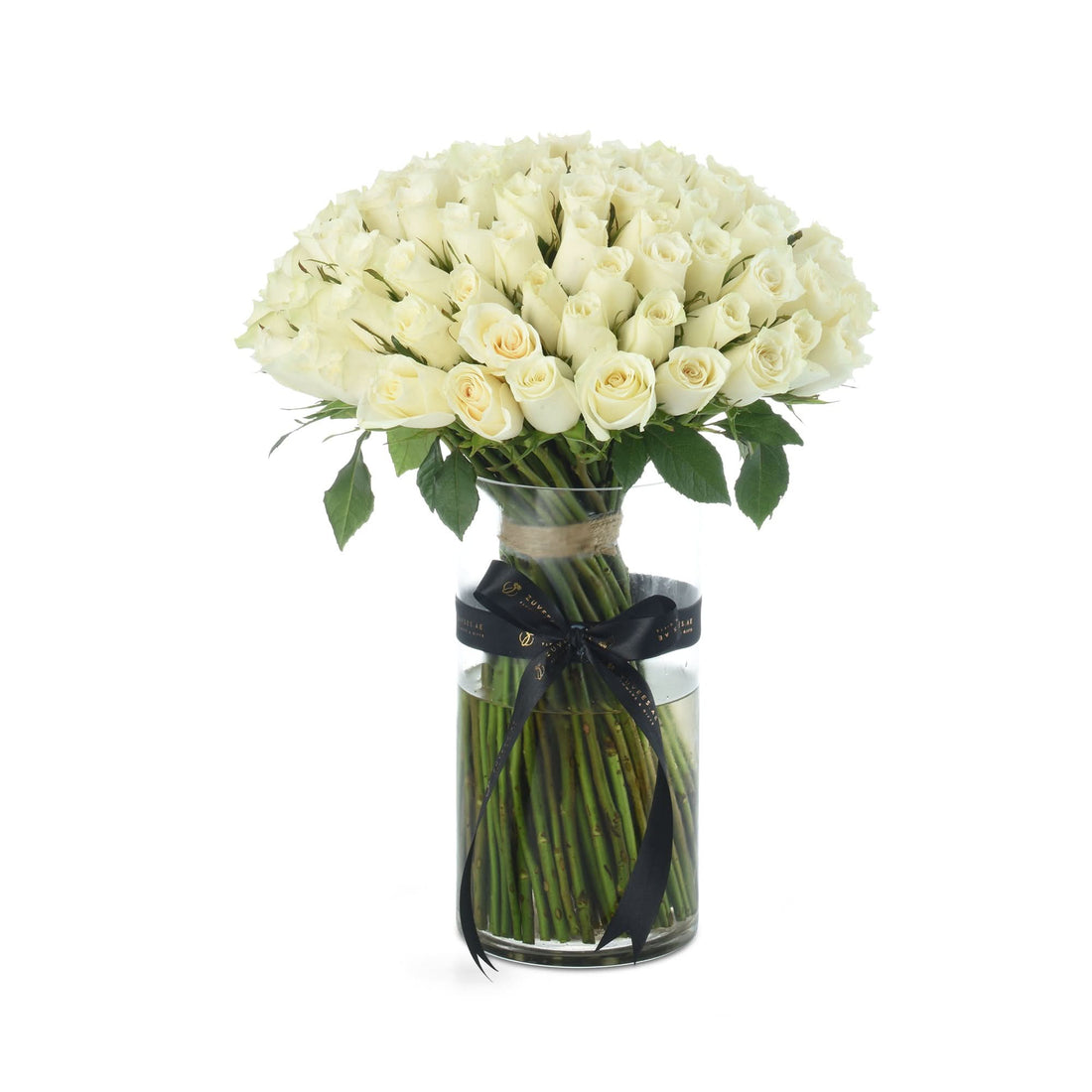 The 100 White Legacy Vase - Zuvees.ae