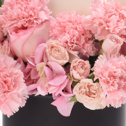 Soft pink carnations, roses, and hydrangeas bloom vibrantly in sleek black vase.