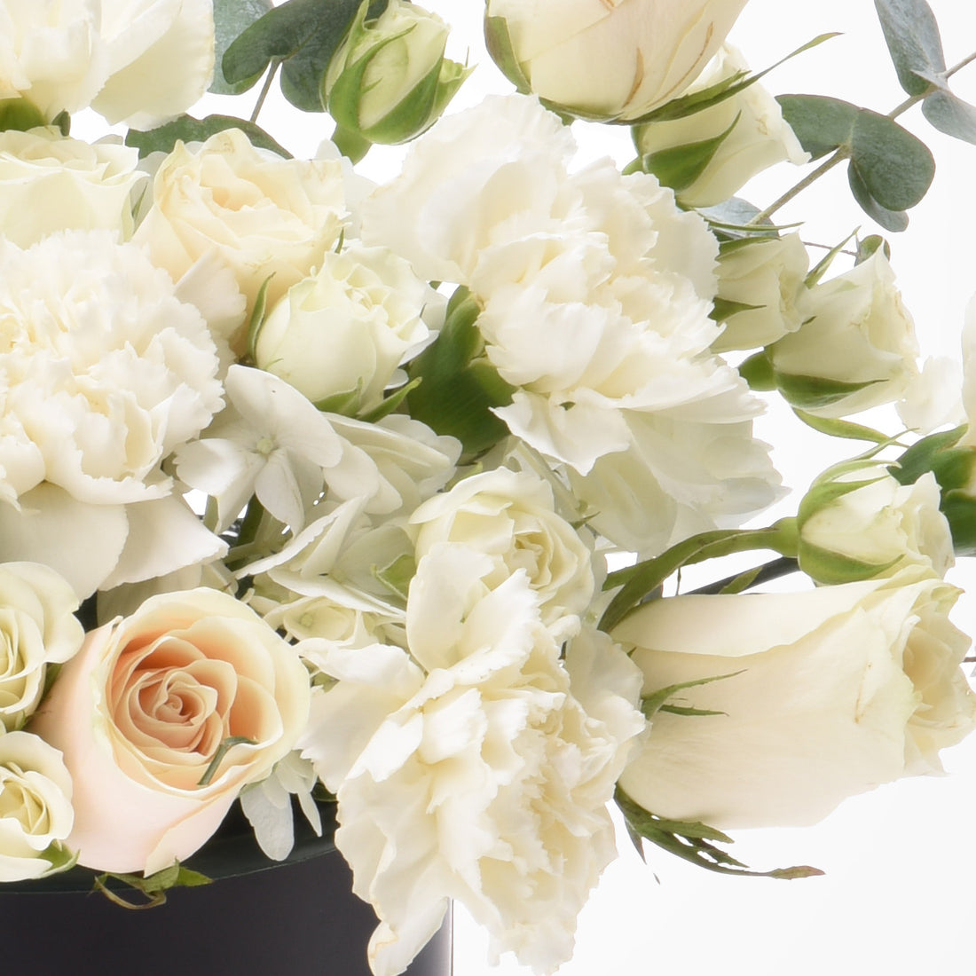 Cream roses, carnations, and eucalyptus in soft white and blush, elegant floral arrangement.