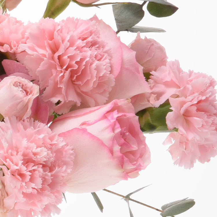 Soft pink carnations with ruffled petals, green stems, and eucalyptus leaves on white background.