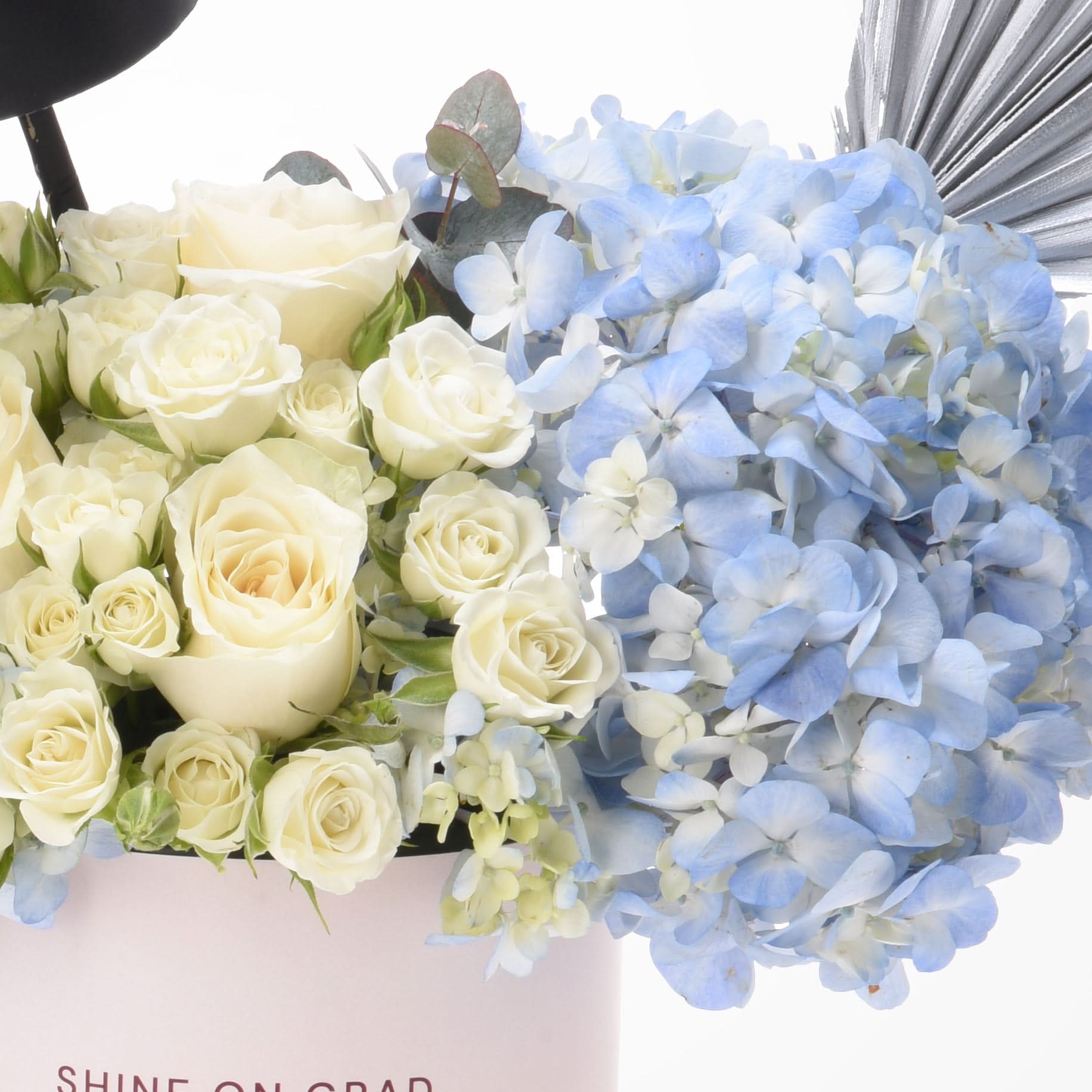Soft white roses paired with delicate blue hydrangeas in a pink box.
