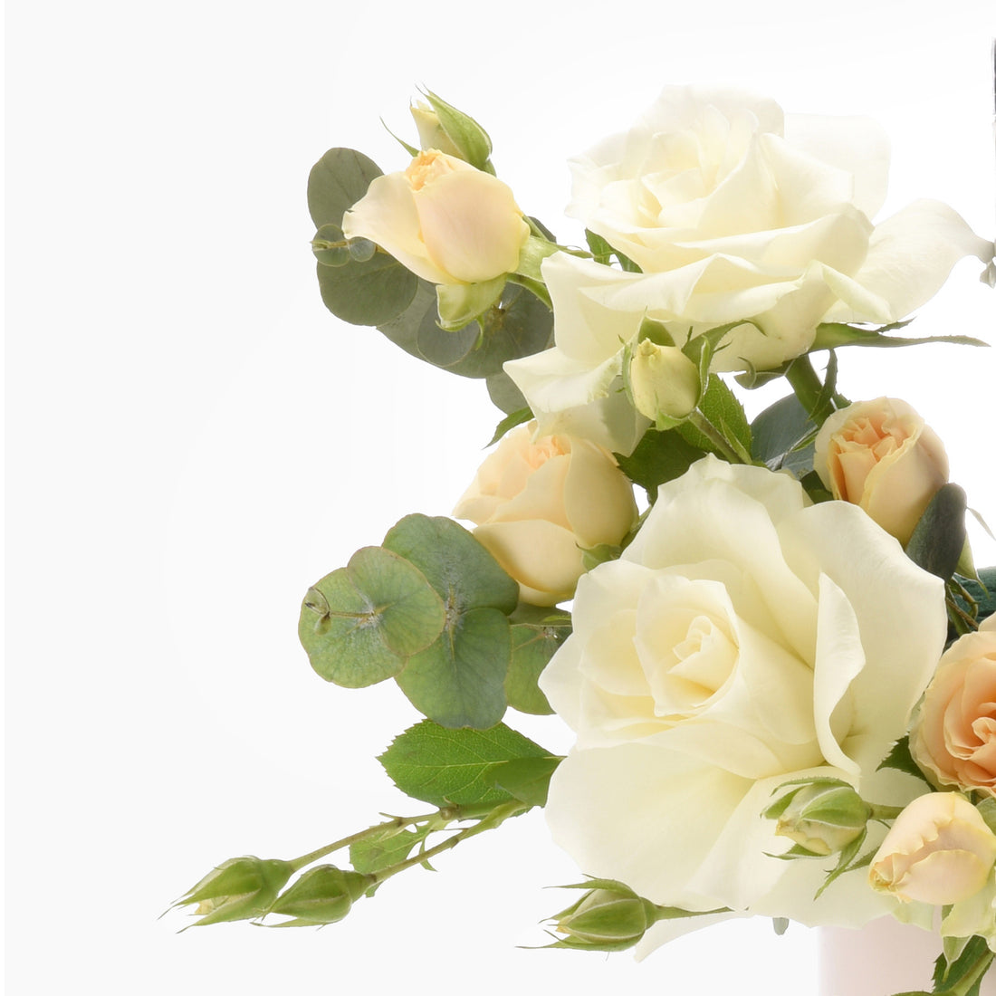 Cream roses and buds with eucalyptus, soft lighting, elegant arrangement.