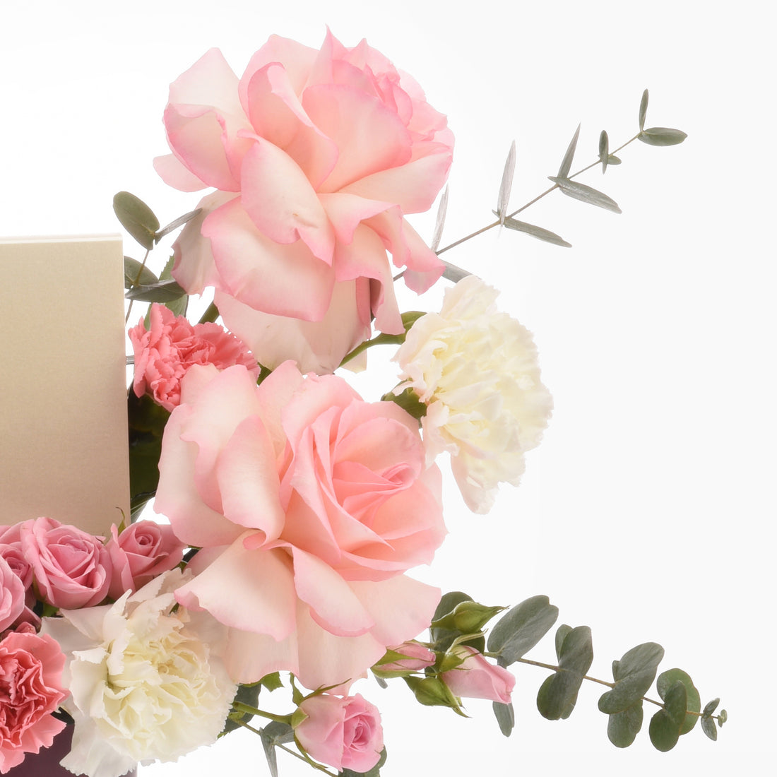 Soft pink roses and white carnations with eucalyptus on white background.