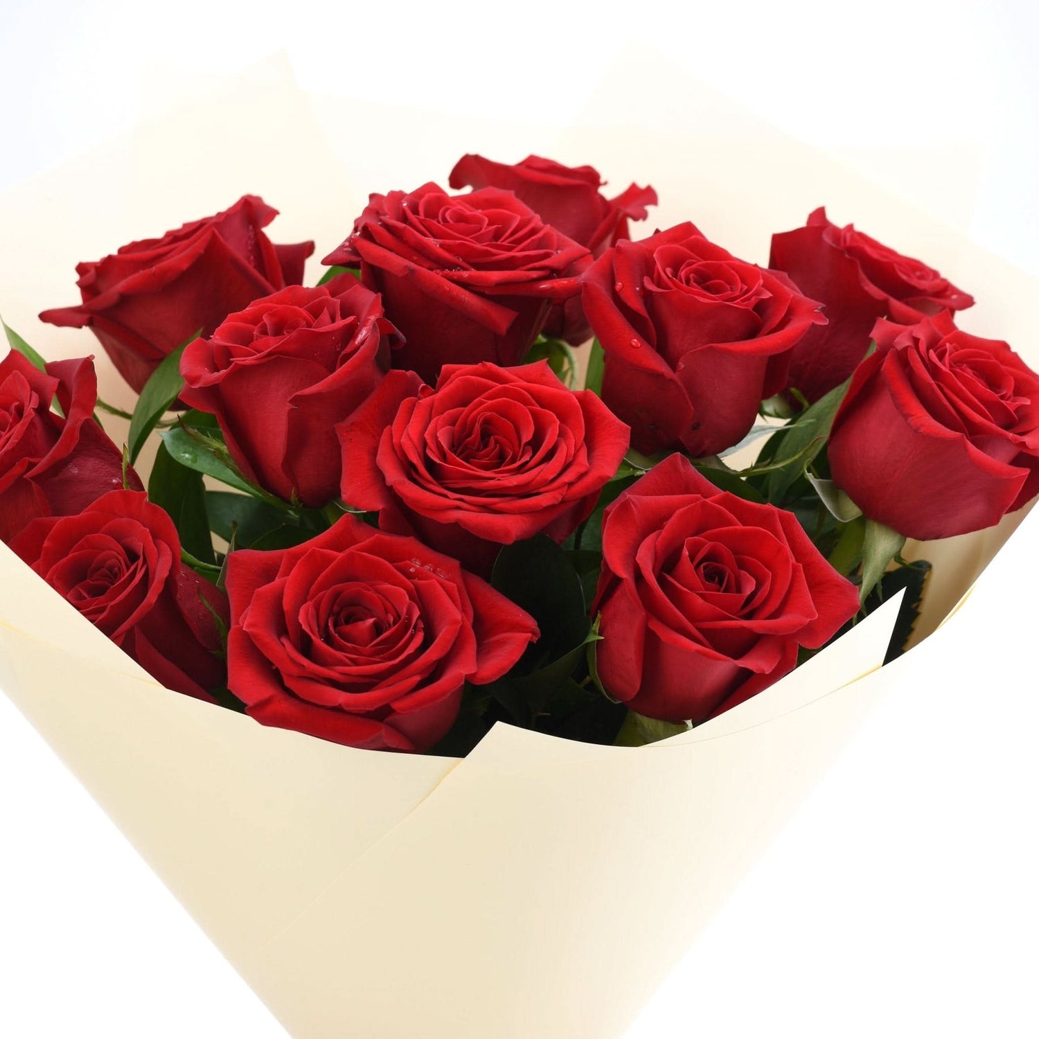Vibrant red roses in creamy wrap, lush green leaves, perfect for romance.