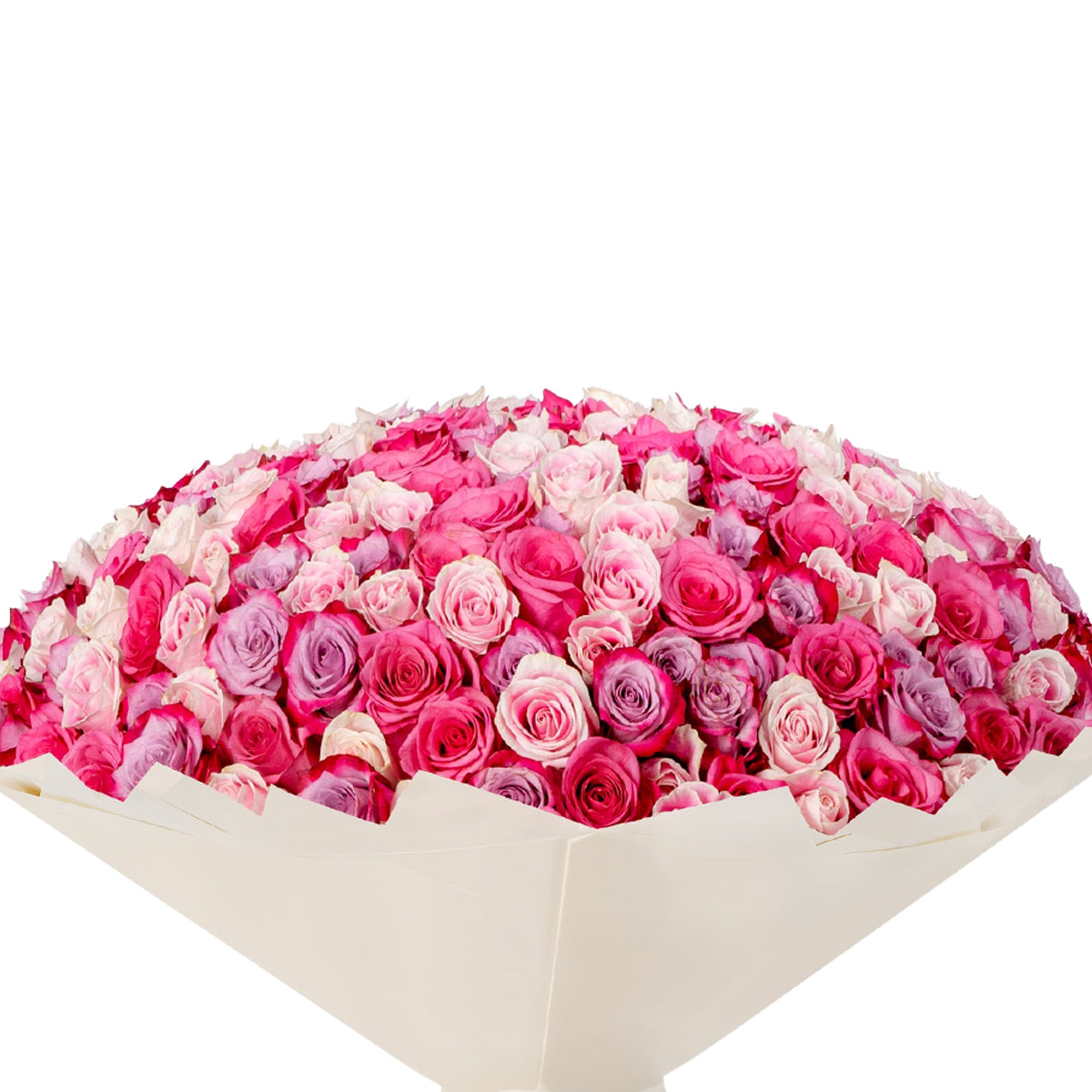 Vibrant pink and lavender roses in creamy wrap, lush and overflowing.