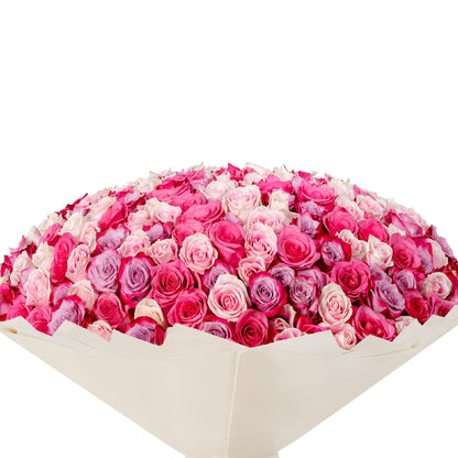 Vibrant pink and lavender roses in creamy wrap, lush and overflowing.