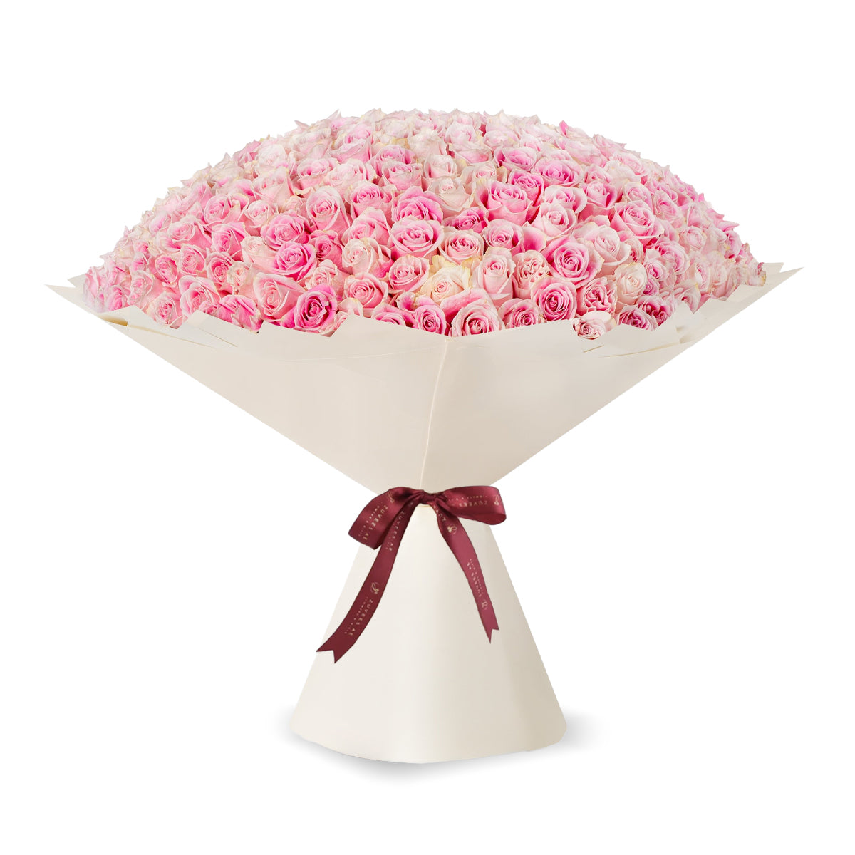 Vibrant pink roses in creamy wrap, tied with burgundy ribbon.