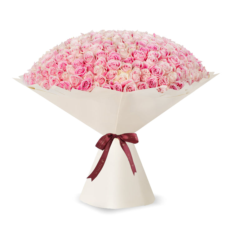 Vibrant pink roses in creamy wrap, tied with burgundy ribbon.