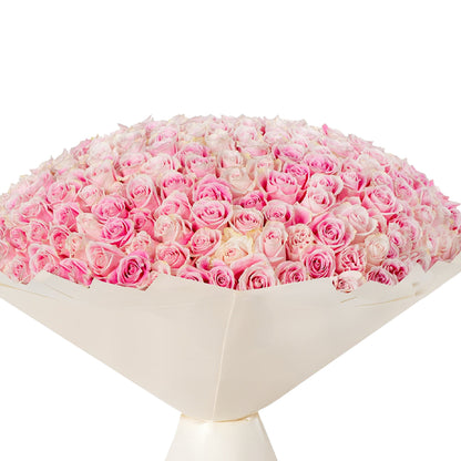 Vast dome of soft pink roses wrapped in creamy paper.