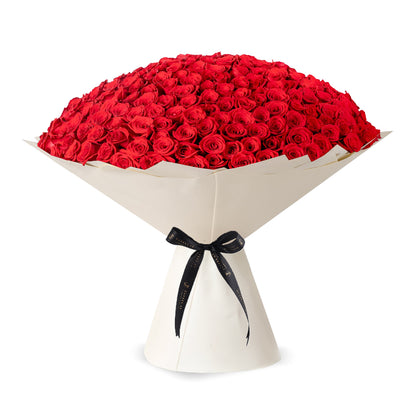 Vibrant red roses in cream paper, elegantly tied with black ribbon.