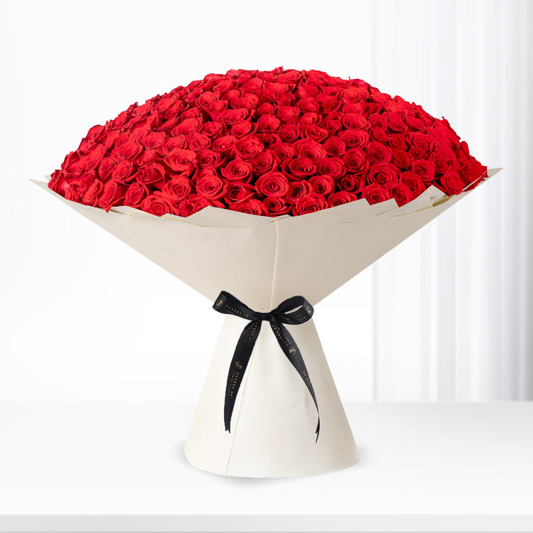 Vibrant red roses in cream paper, elegantly tied with black ribbon.