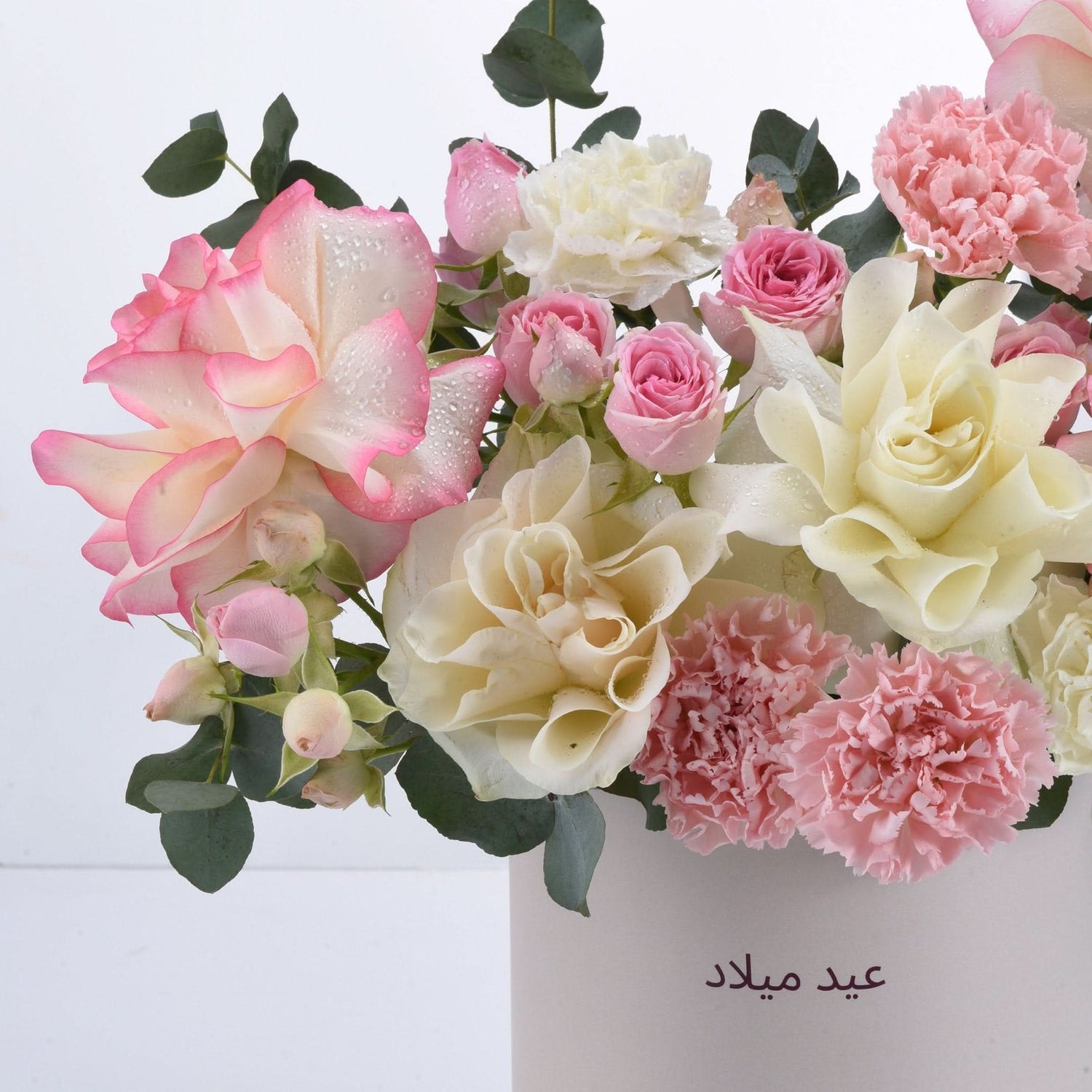 Pink and cream roses with carnations, dew-kissed petals, green eucalyptus, elegant white vase.