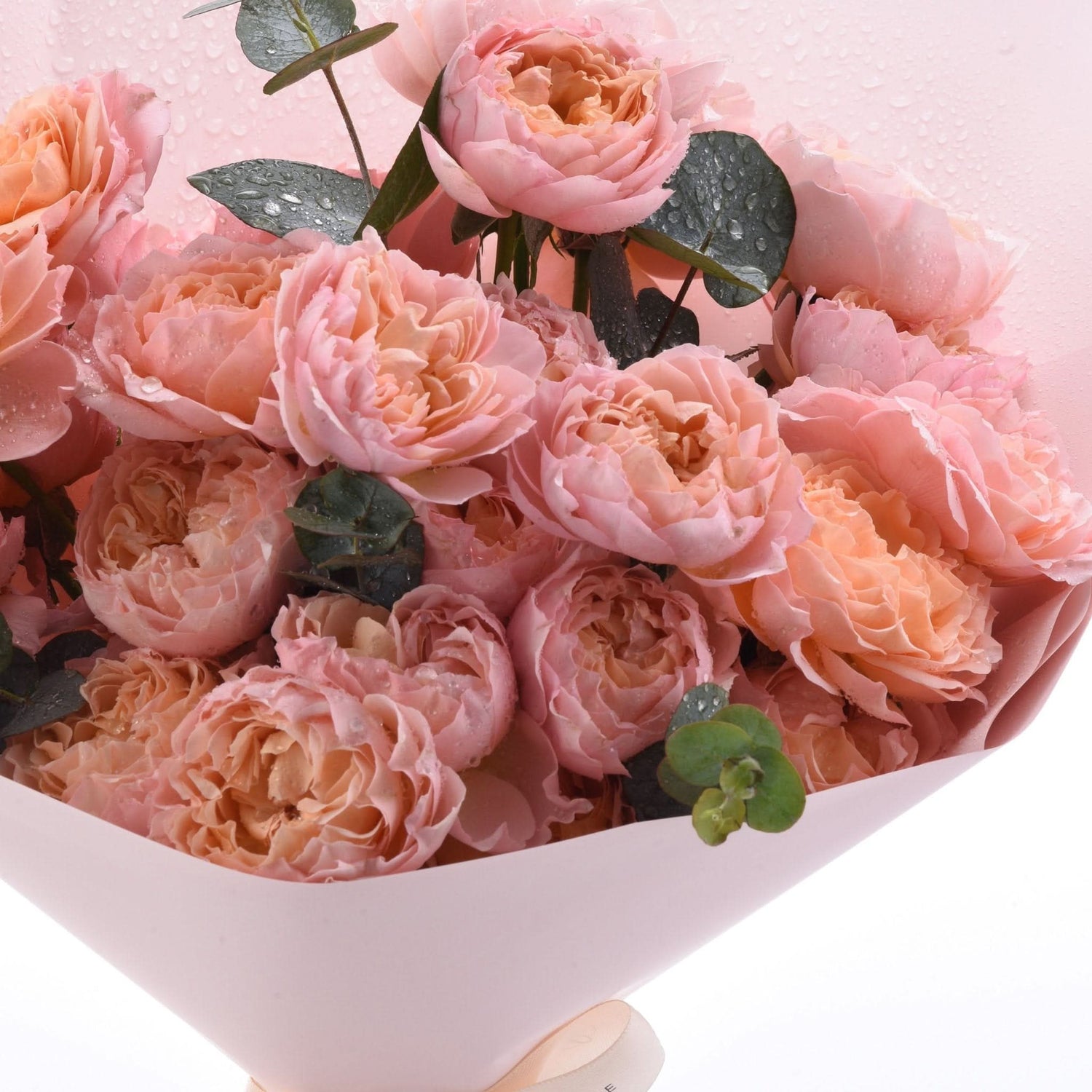 Soft peach roses, dew-kissed, wrapped in pale pink paper.