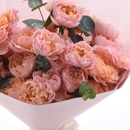 Soft peach roses, dew-kissed, wrapped in pale pink paper.