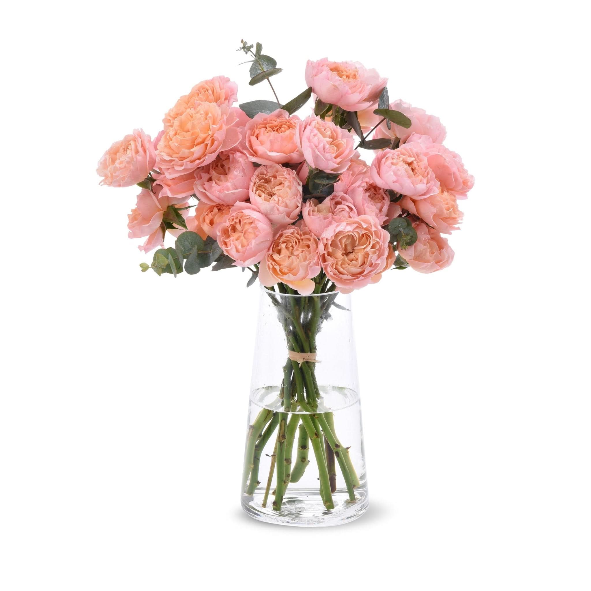Soft peach roses and eucalyptus in clear glass vase.