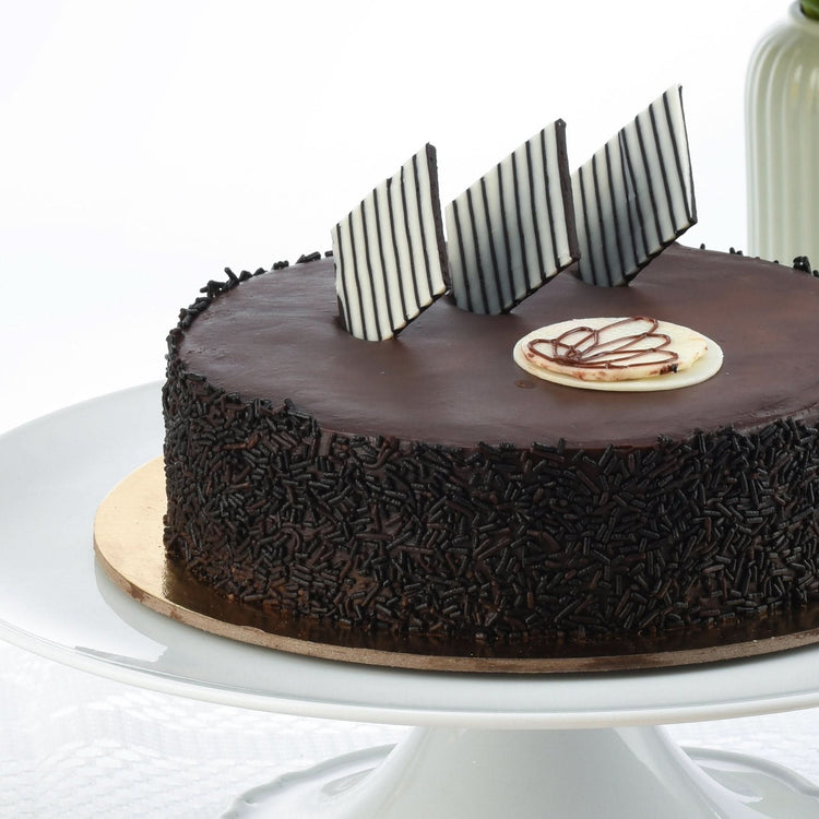 Rich chocolate cake adorned with striped chocolate shards and piped white chocolate design.