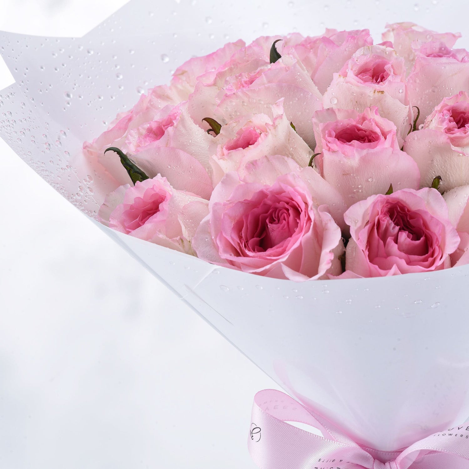 Soft pink roses glisten with dewdrops, wrapped elegantly in white paper and pink ribbon.