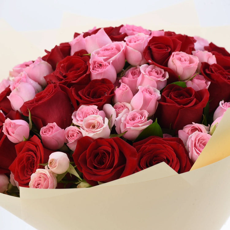 Vibrant red and pink roses elegantly wrapped in cream paper.