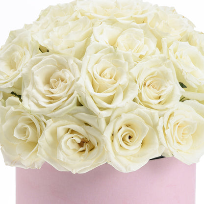 Cream roses in soft pink box, elegant and fresh.