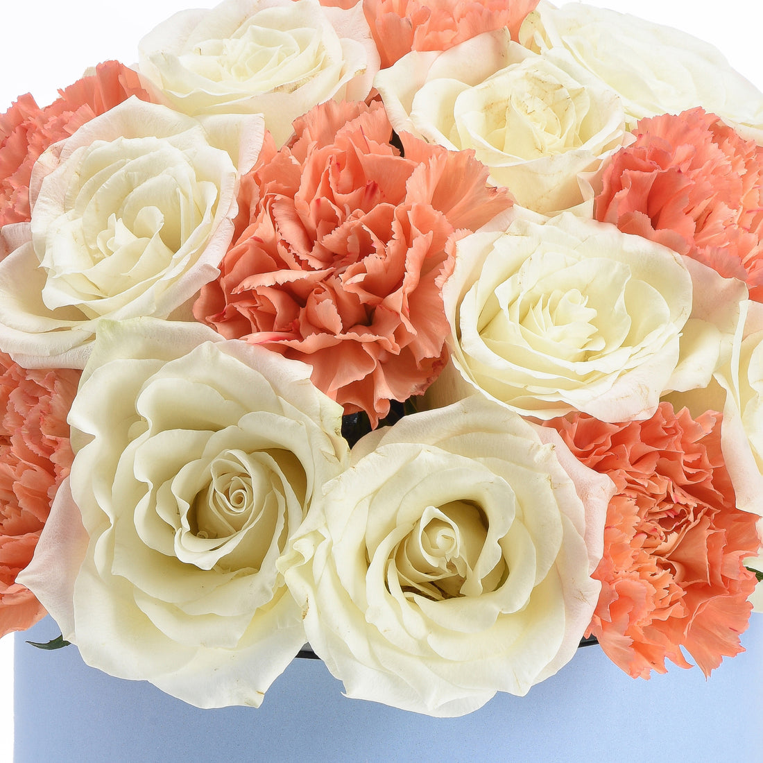 Cream roses and coral carnations in soft, layered arrangement against pale blue vase.