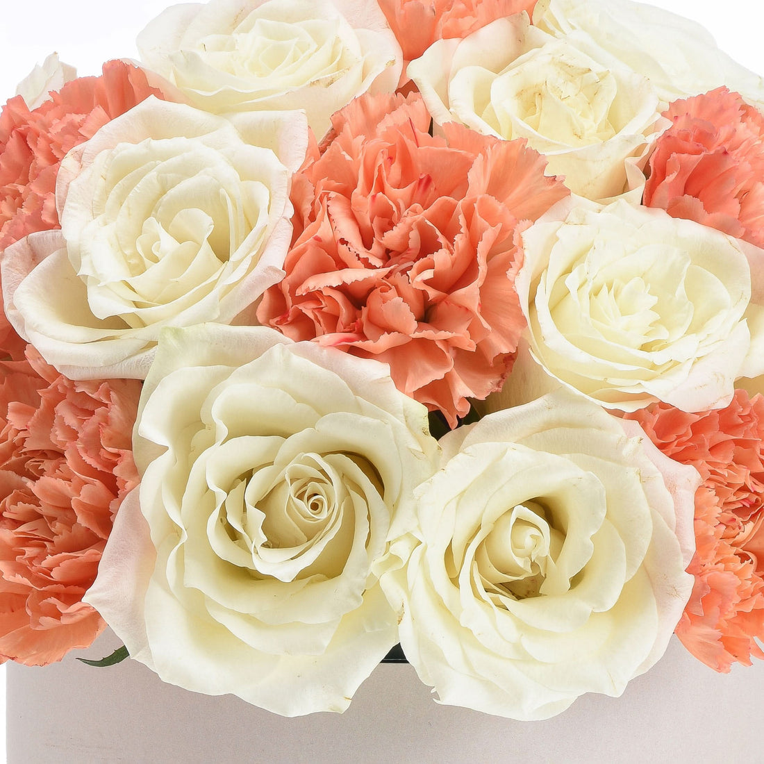 Cream roses and coral carnations in soft, elegant arrangement.