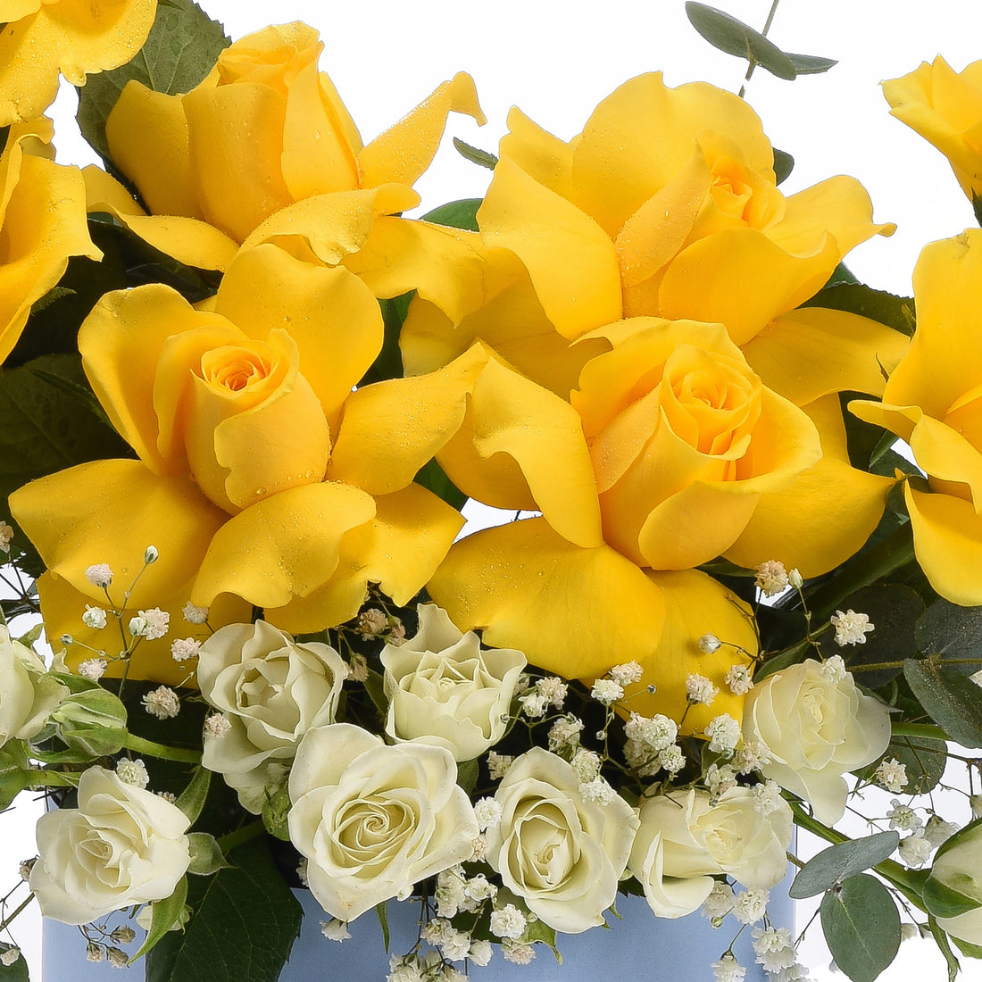 Vibrant yellow roses with dewdrops, accented by creamy white blooms and greenery.