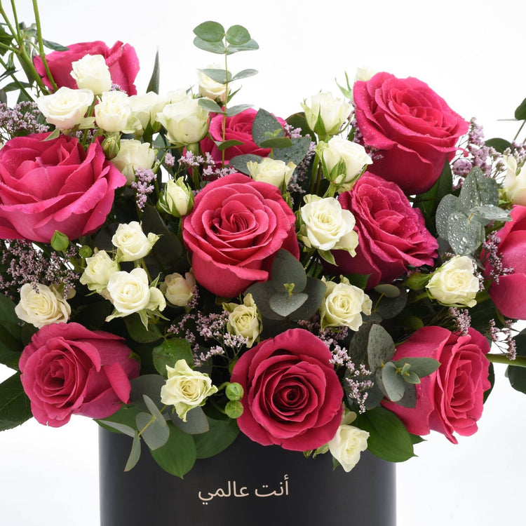 Vibrant pink and white roses with eucalyptus, dew-kissed, in sleek black vase, Arabic text "أنت عالمي".