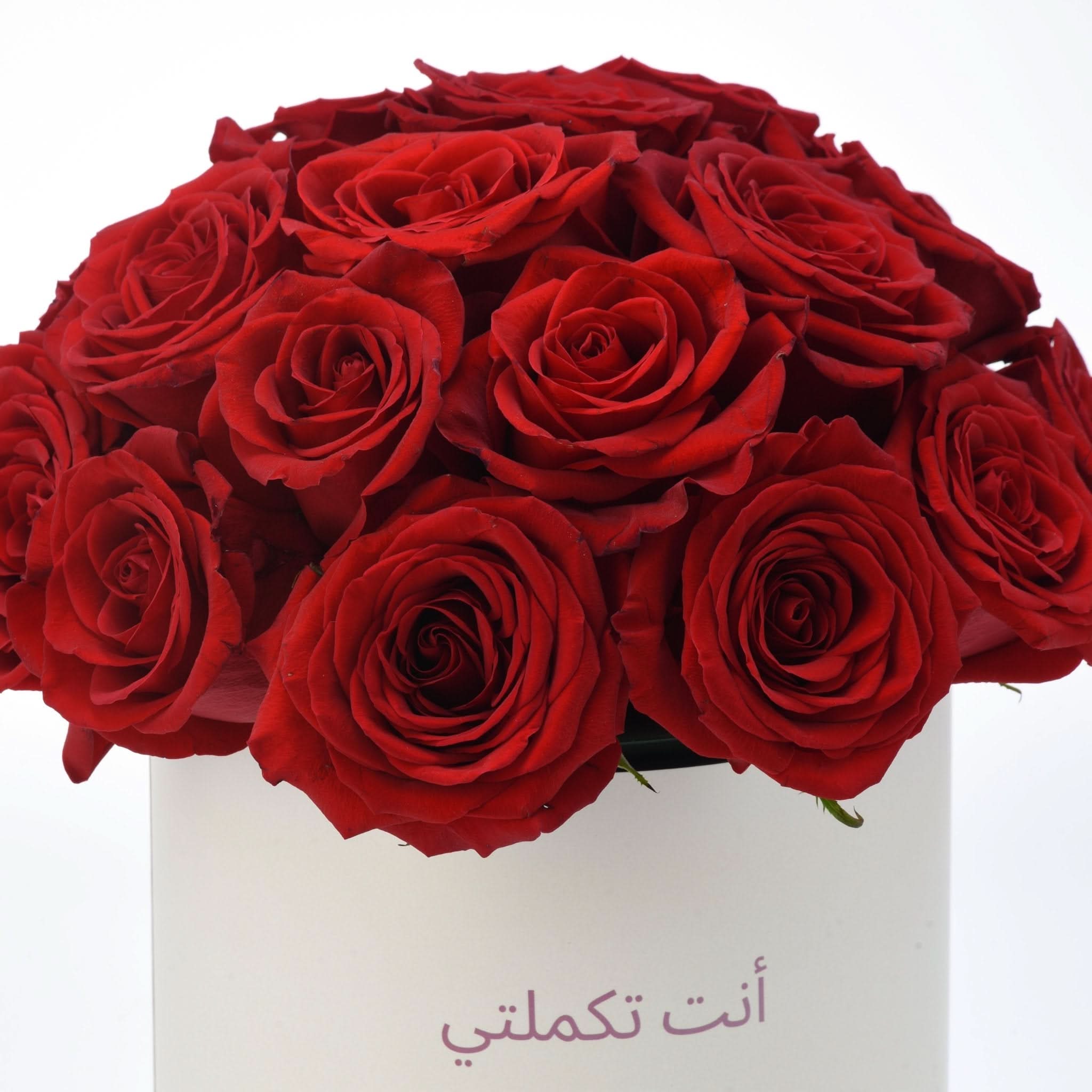 Vibrant red roses in white box with Arabic message.