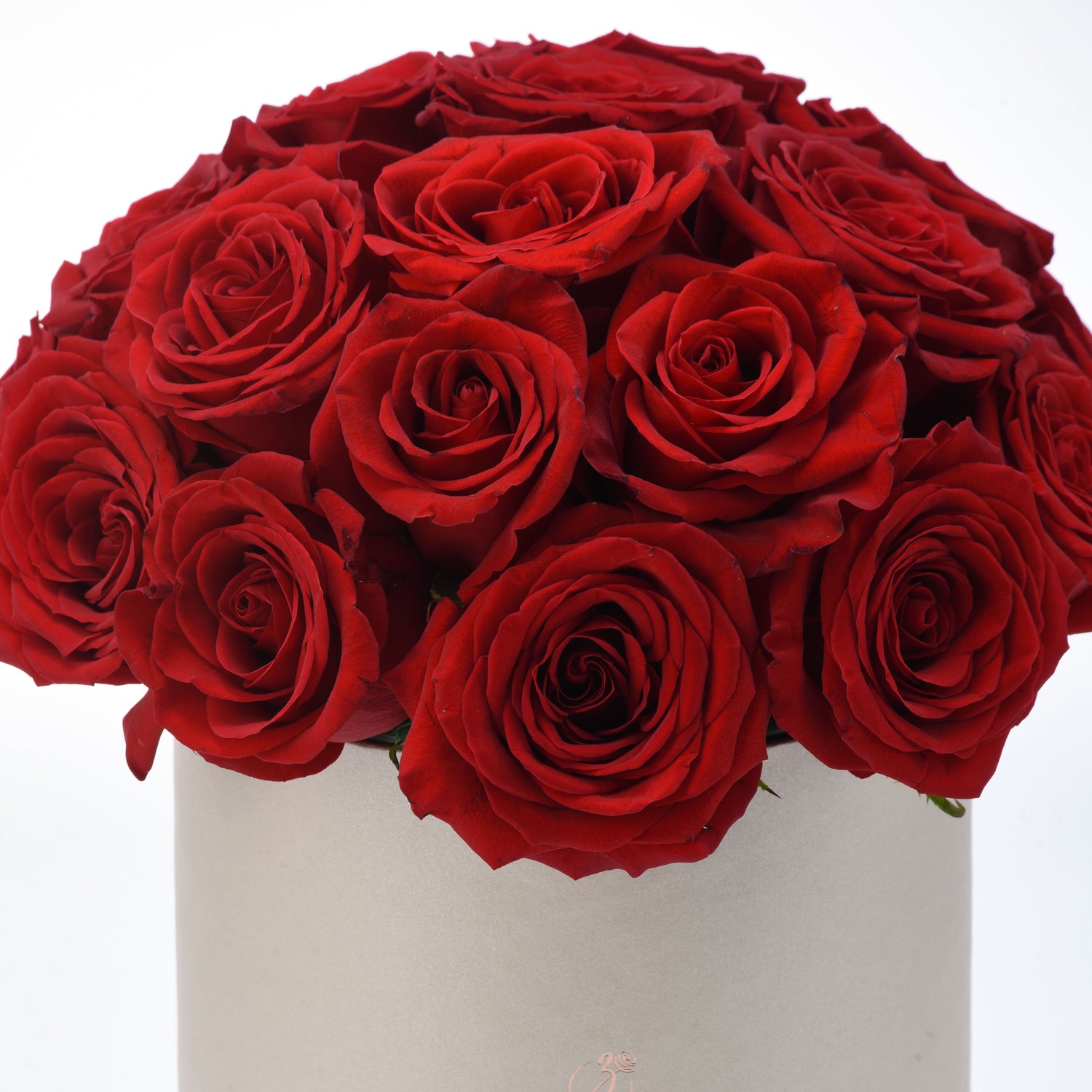 Vibrant red roses in elegant silver box, rich petals, romantic gift.