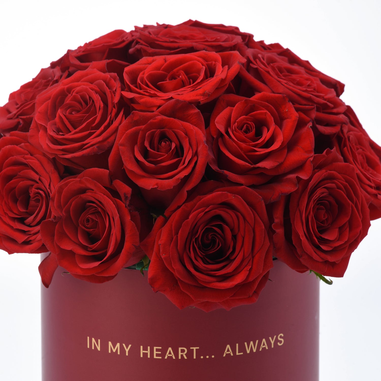 Vibrant red roses in deep burgundy box with gold "IN MY HEART... ALWAYS" inscription.
