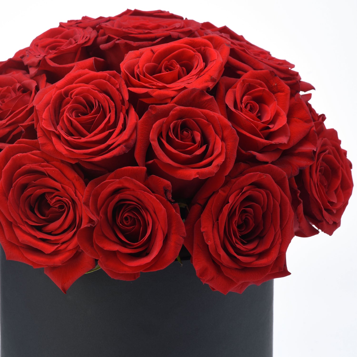 Vibrant red roses in sleek black vase, rich petals, romantic bouquet.