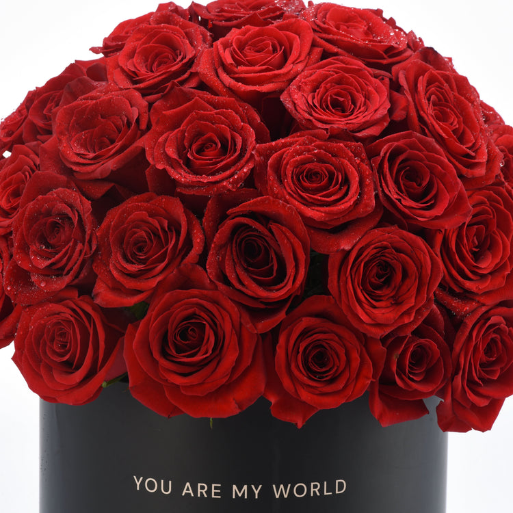 Vibrant red roses with dewdrops in black box, "YOU ARE MY WORLD" text, romantic gift.