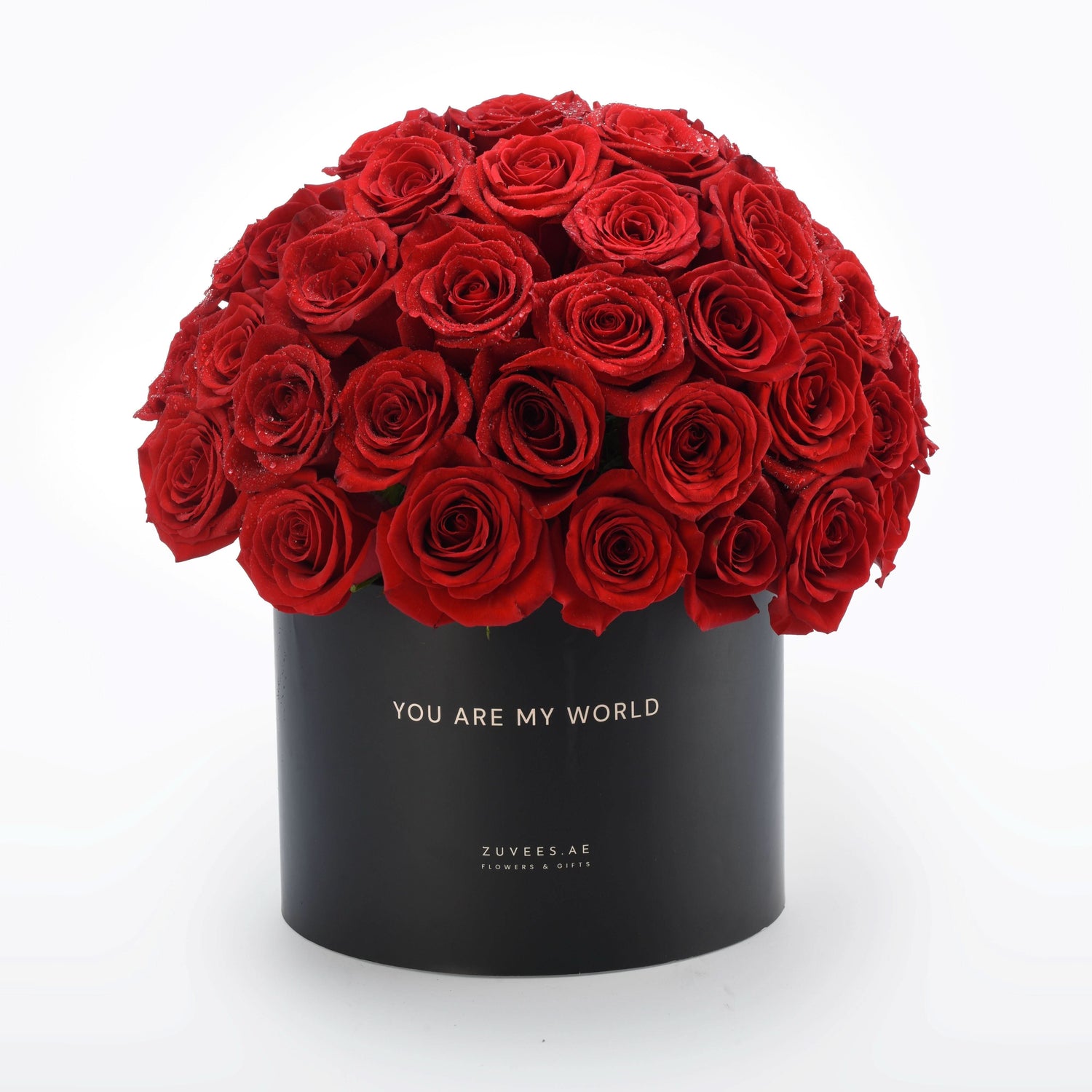Luxurious red roses in sleek black box, "You Are My World" inscription, glistening dewdrops.