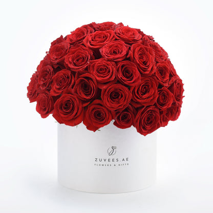 Vibrant red roses in white cylindrical box with "ZUVEES.AE" branding.