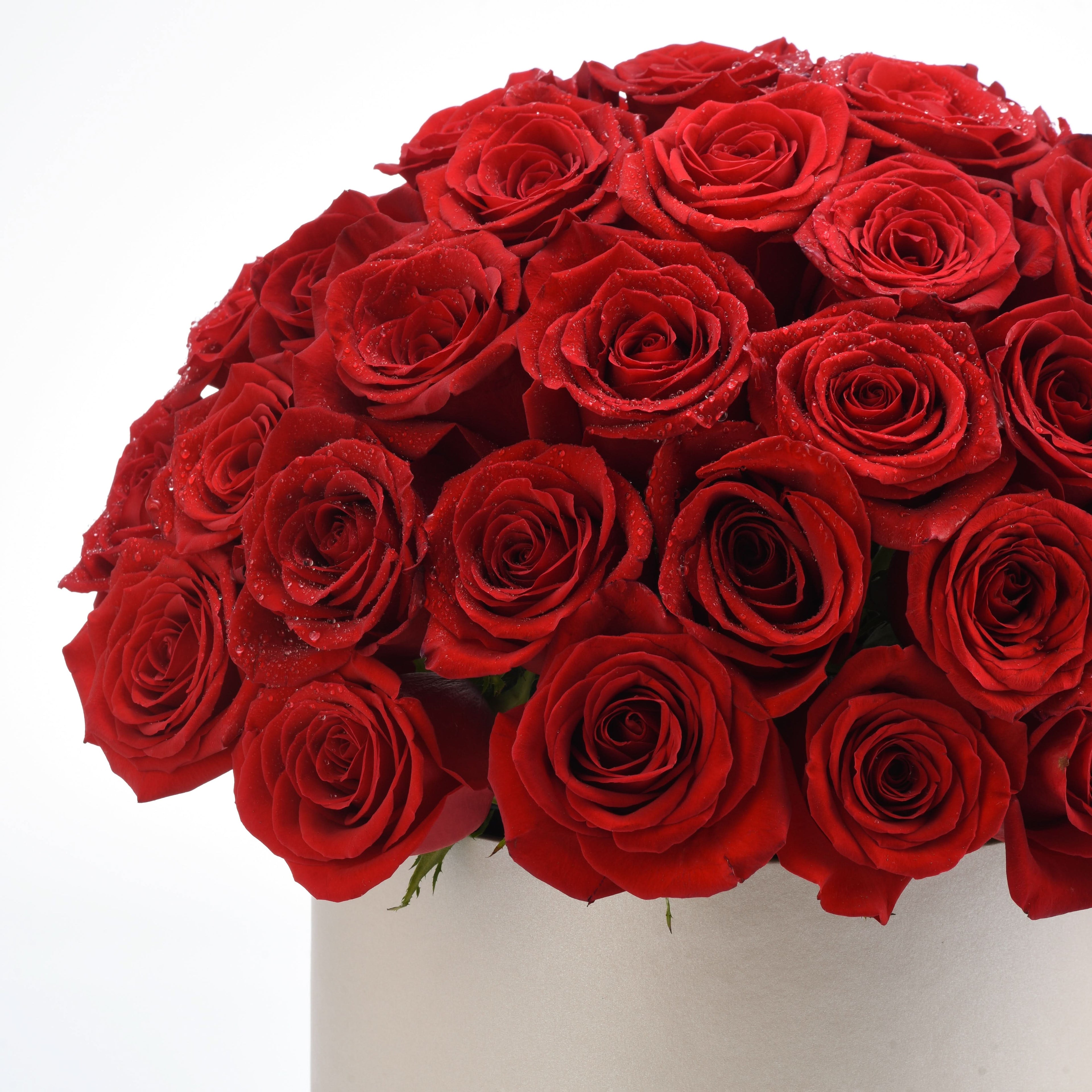 Vibrant red roses glisten with dew, arranged in a sleek silver vase.