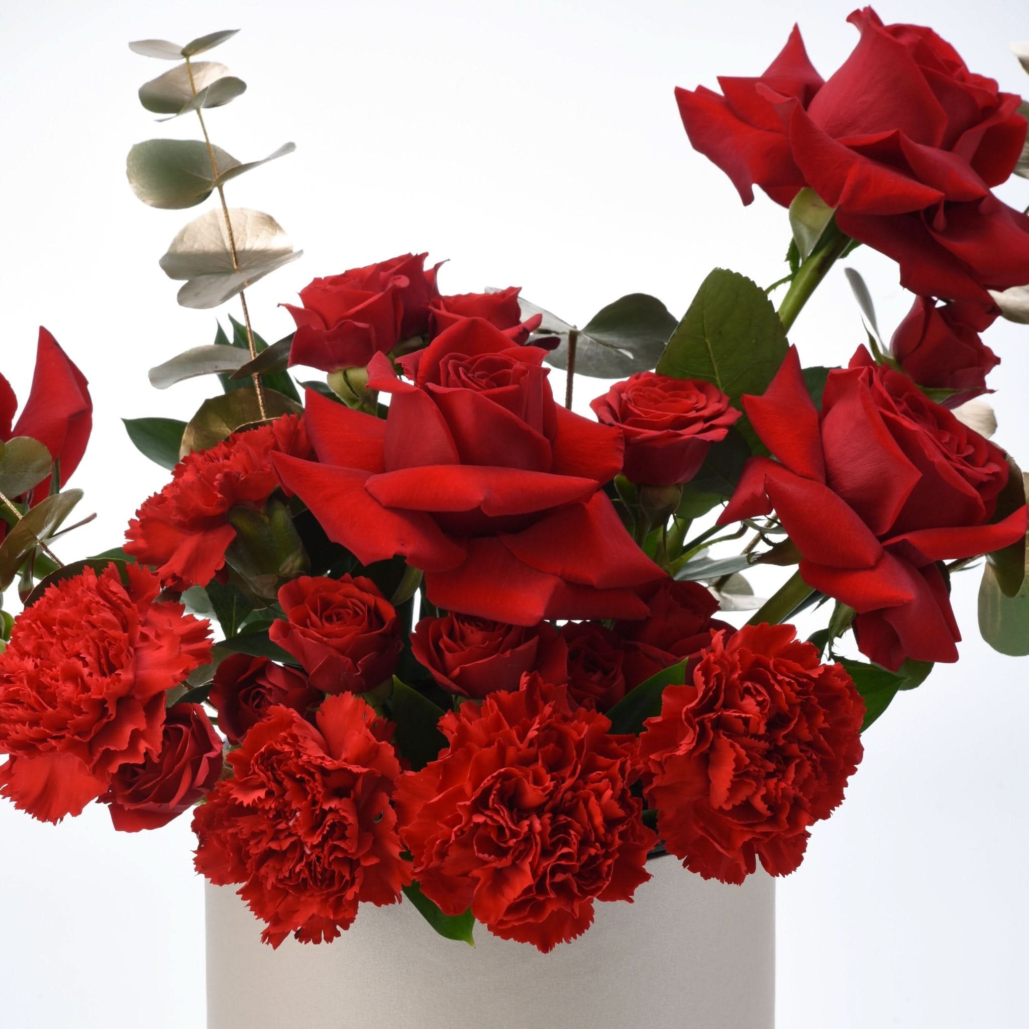 Vibrant red roses and carnations with eucalyptus in sleek white vase, romantic bouquet.