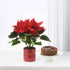 Vibrant red poinsettia in festive red pot beside chocolate cake on white stand.