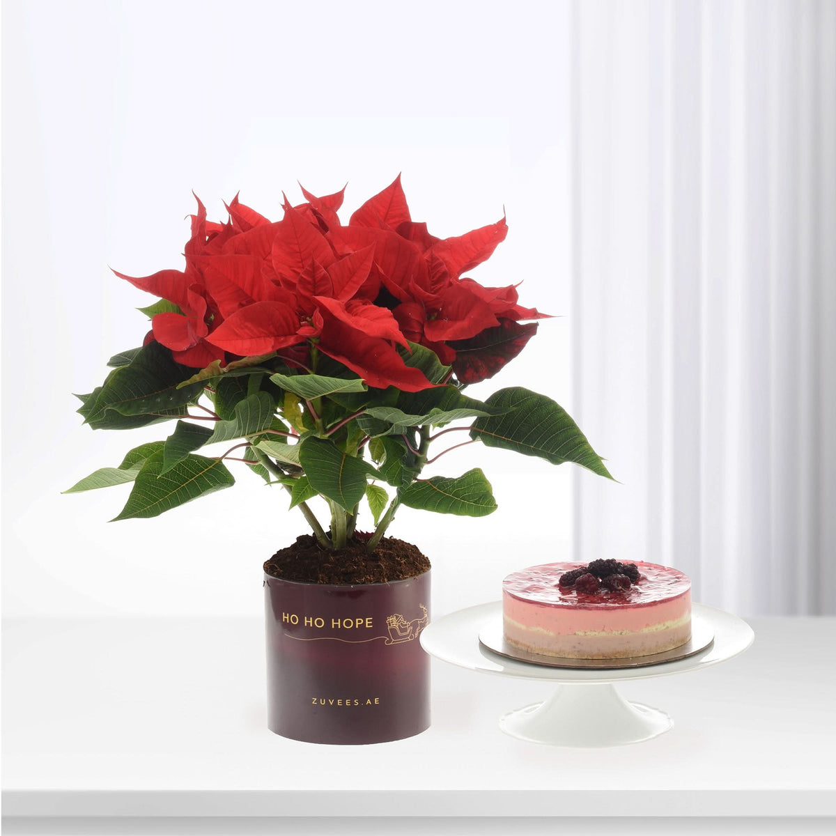 Vibrant red poinsettia in festive pot beside layered berry cake on white stand.