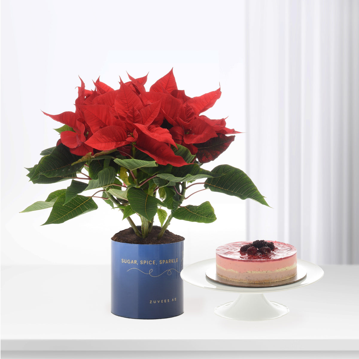 Vibrant red poinsettia in blue pot beside layered berry cheesecake on white stand.