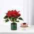 Vibrant red poinsettia in green "A Christmas Hug" pot beside berry-topped cheesecake on white stand.