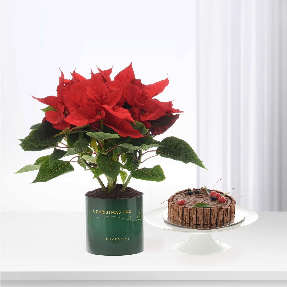 Vibrant red poinsettia in green "A Christmas Hug" pot beside chocolate yule log cake.