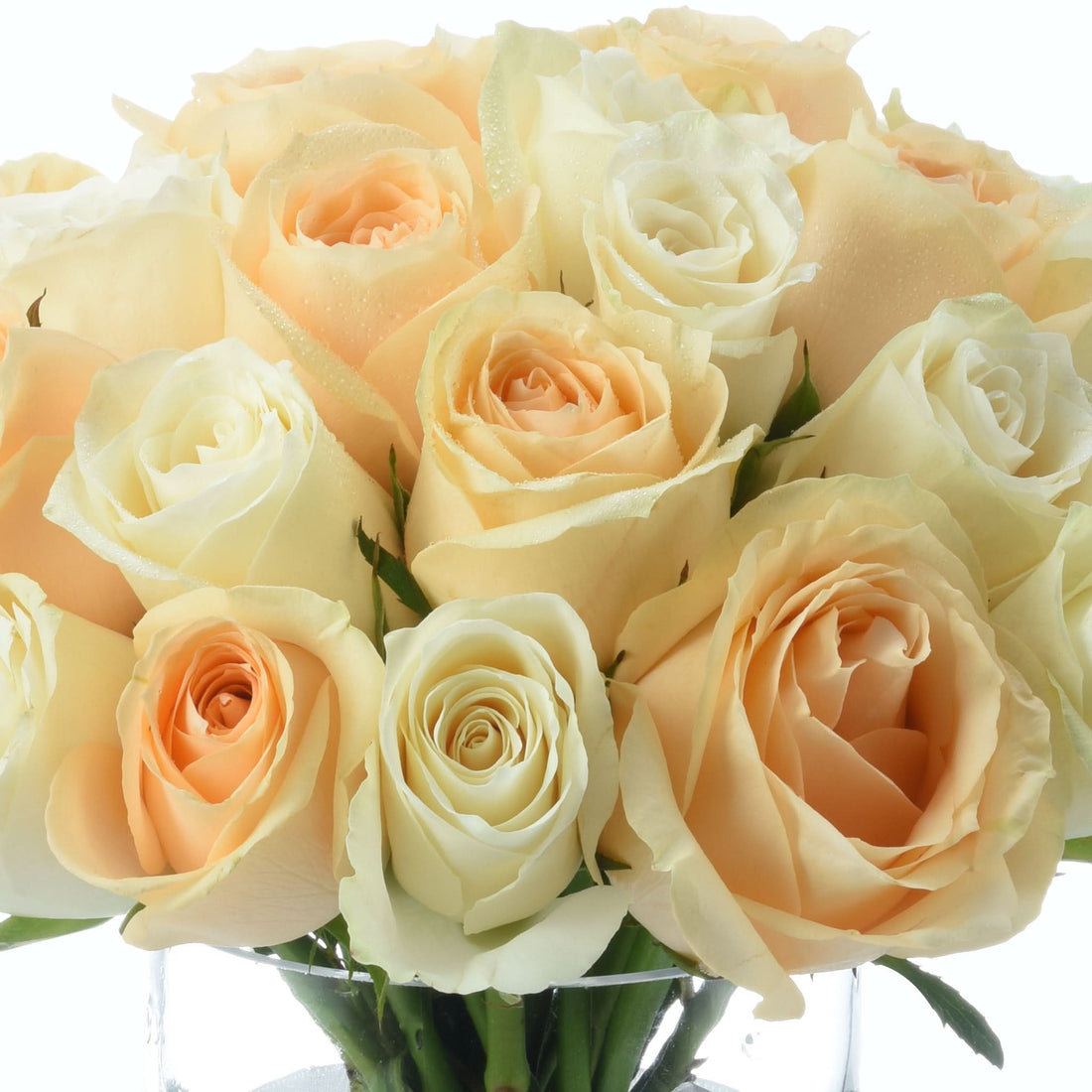 Soft peach and cream roses, dew-kissed, arranged in clear vase.