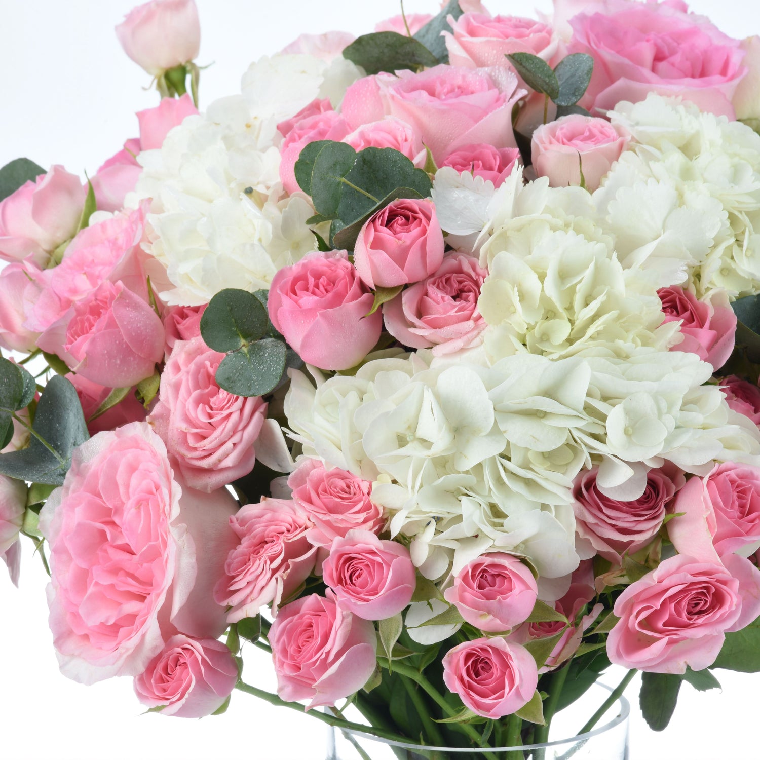 Soft pink roses and white hydrangeas in clear vase, dewy and lush.