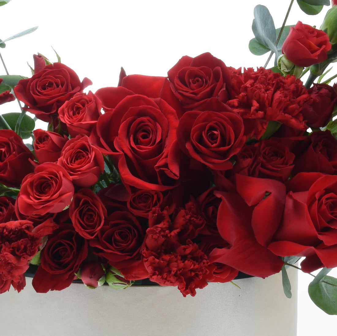 Vibrant red roses and carnations in lush, full bloom against soft white background.