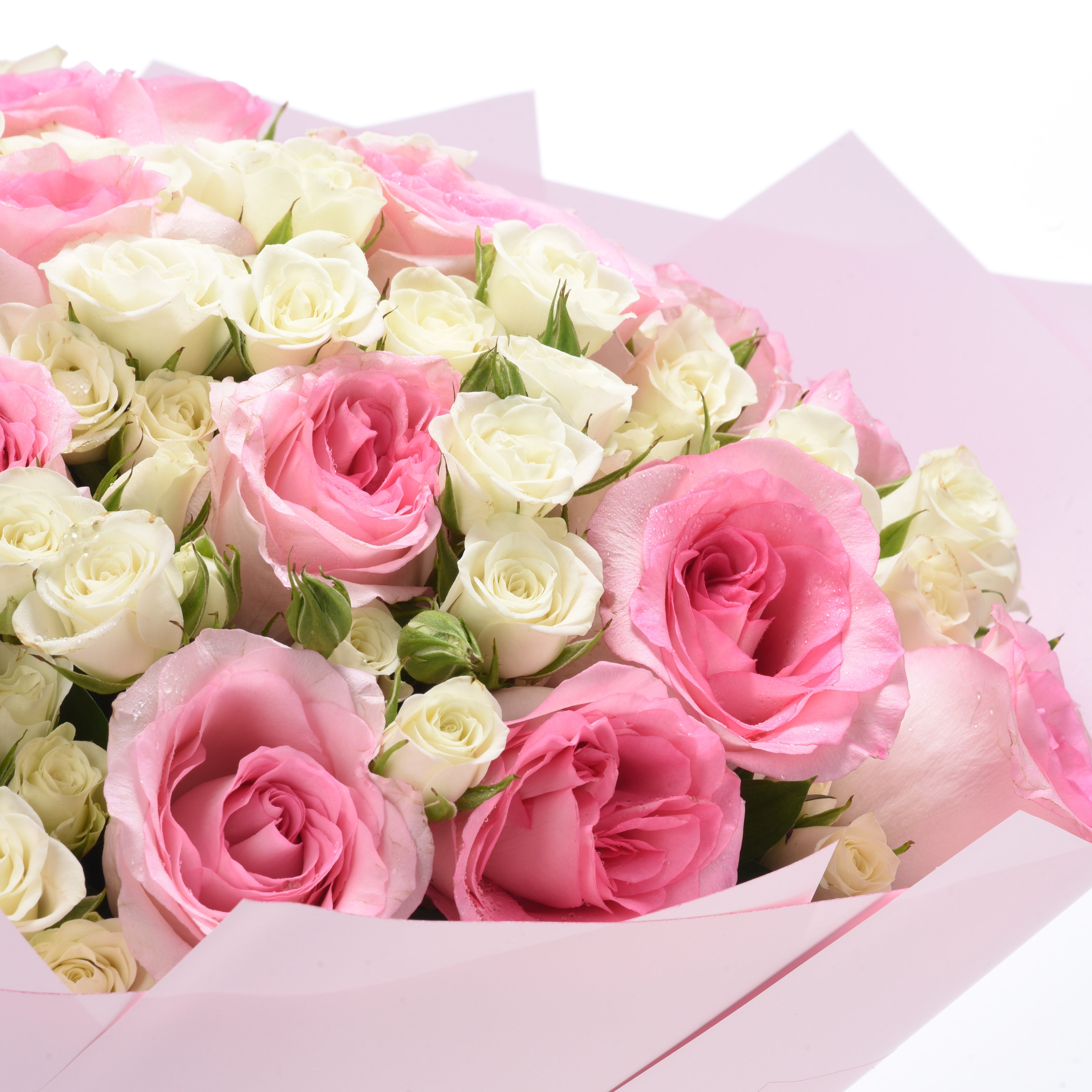 Soft pink and cream roses in delicate, dew-kissed bouquet wrapped in matching paper.