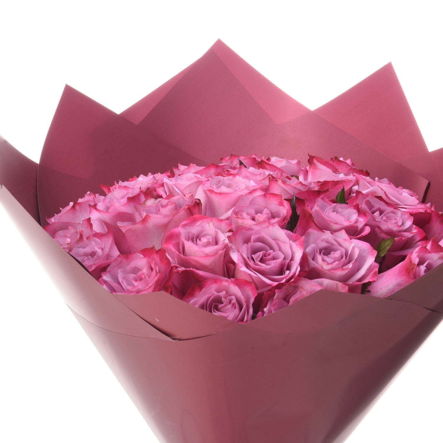 Lush pink roses in elegant mauve wrapping, vibrant petals, perfect gift bouquet.
