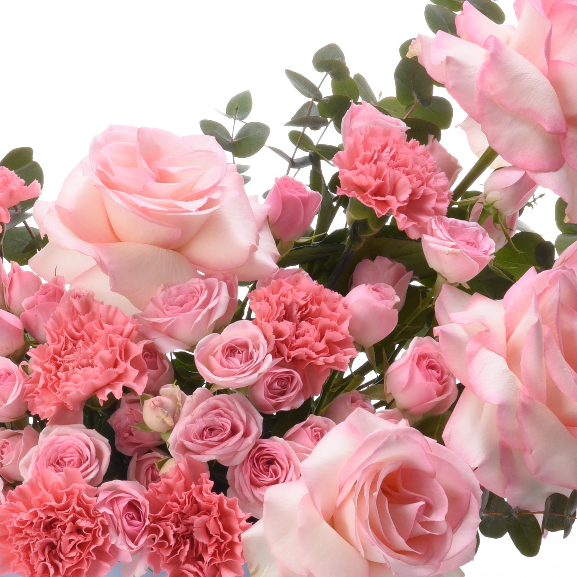 Soft pink roses and carnations with green eucalyptus against white background.