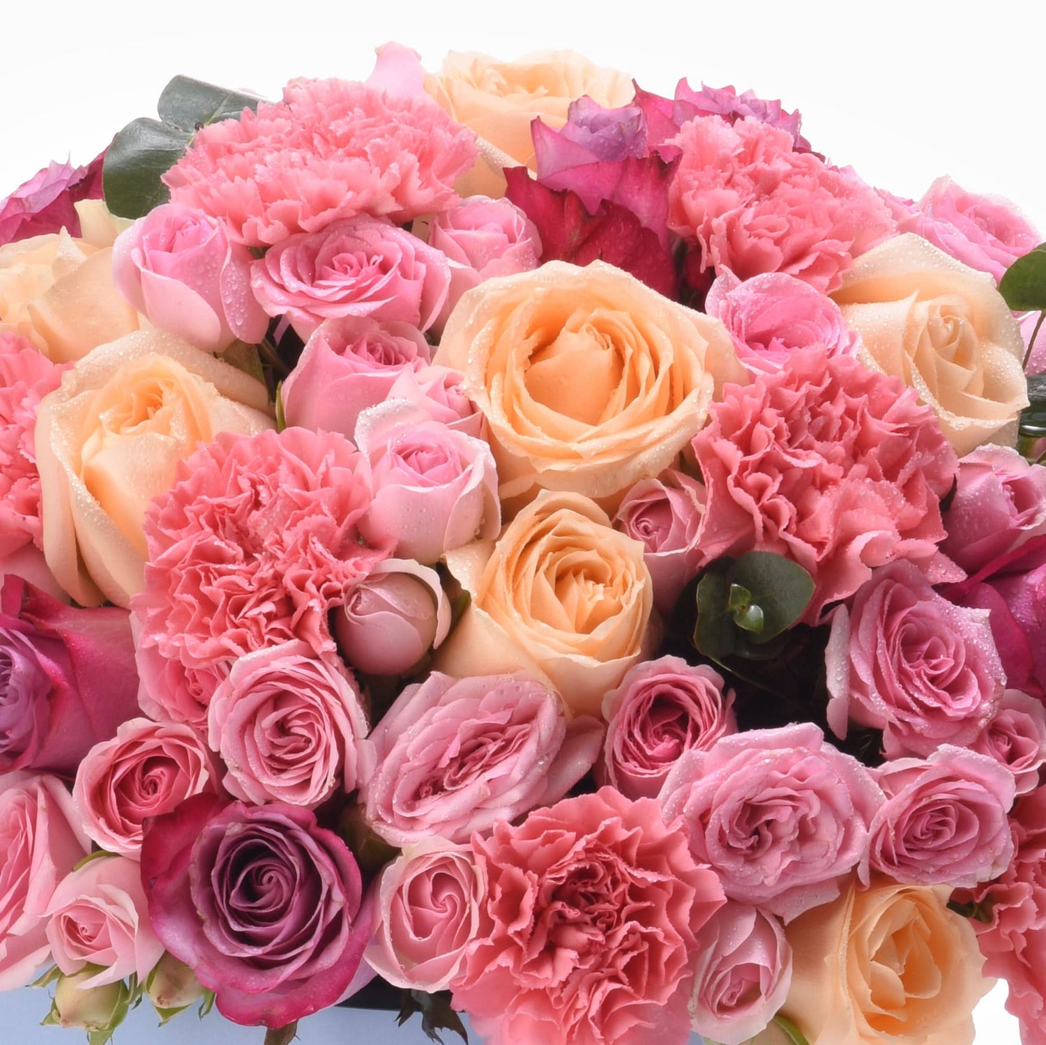 Pink, peach, and magenta roses with dewdrops, lush green leaves, vibrant romantic bouquet.
