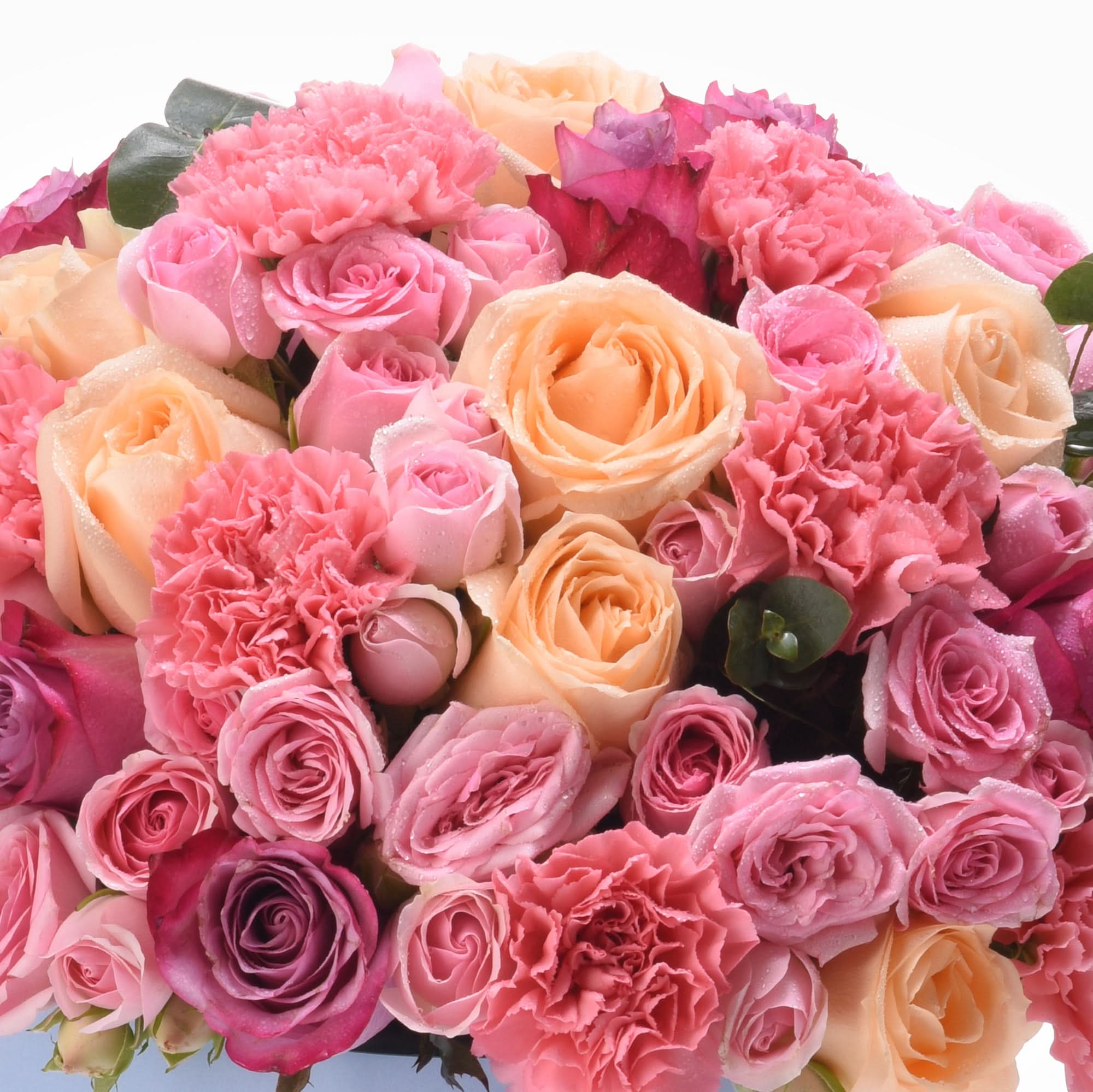 Pink, peach, and magenta roses with dewdrops, lush green leaves, vibrant romantic bouquet.